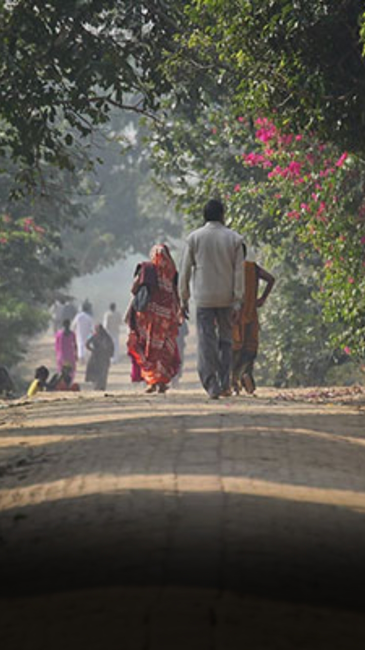 Govardhan Parikrama